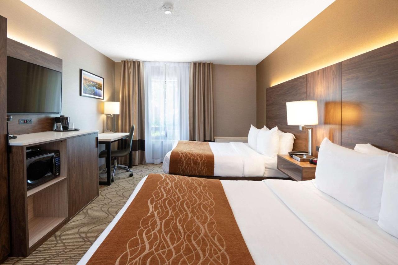 Comfort Lakeshore Inn